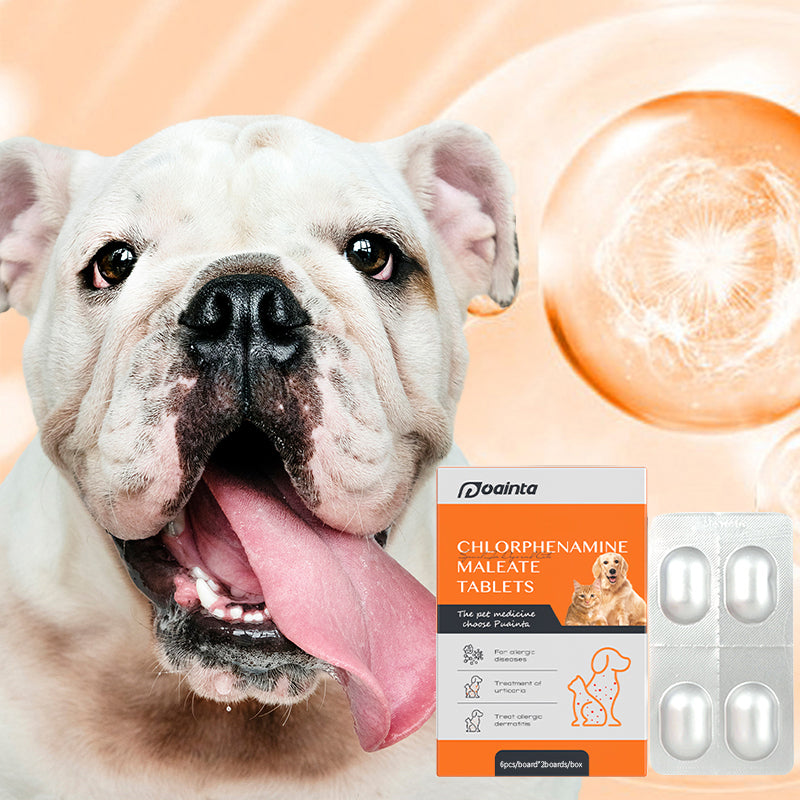 Allergy meds store for dogs dosage