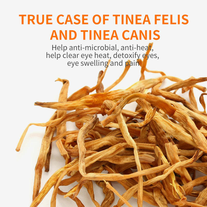 Puainta™ Boric Acid Eye Drops/ Eye Wash for Dogs and Cats