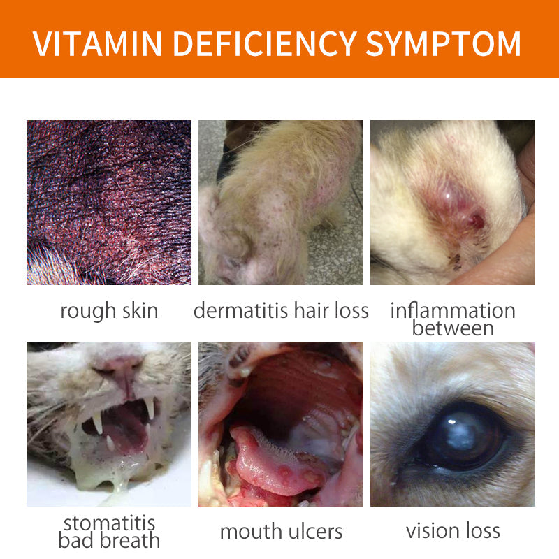 Vitamin B Complex Solution