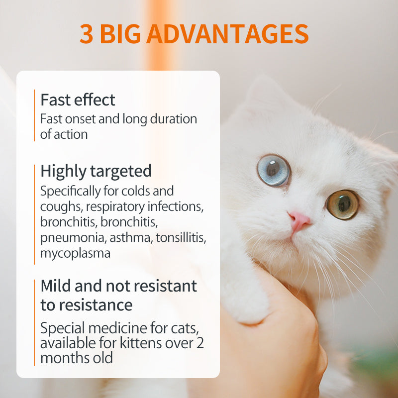 Cough TreatmentsTablets for Cats