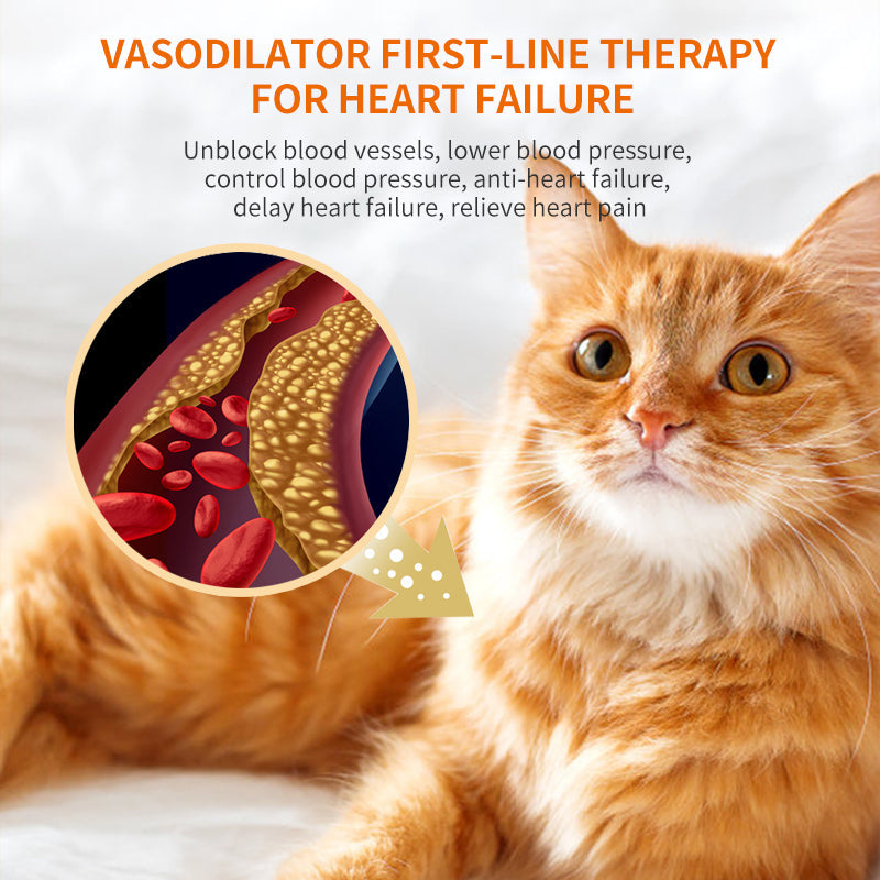 Cardiovascular Support Tablets Heart Supplement