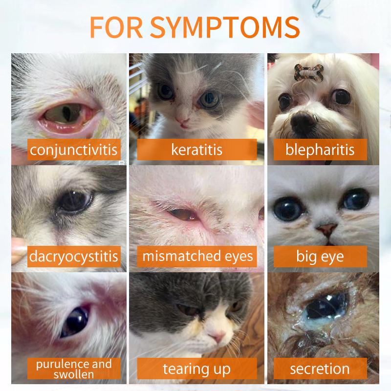 Conjunctivitis -Ophthalmic Suspension