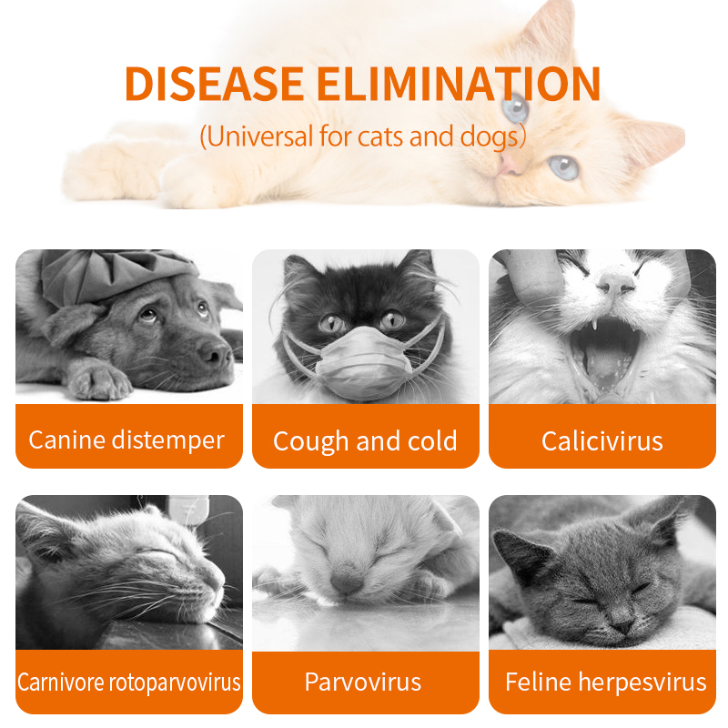 IGY Immune Health Liquid Supplement for Cats & Dogs