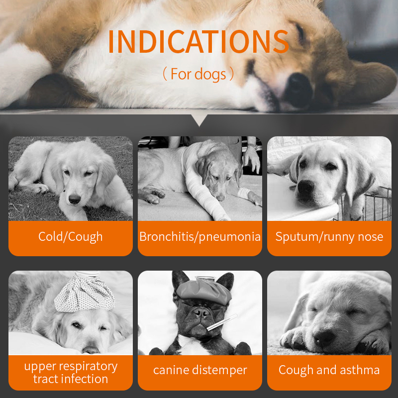 Puainta® Cough Relief and Anti-inflammatory