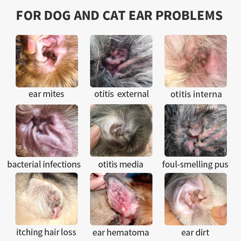 Puainta™ Ear Inflammation - Ear Drops