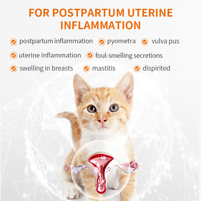 Puainta® Uterus Protection Tablets-Postpartum Anti-inflammatory