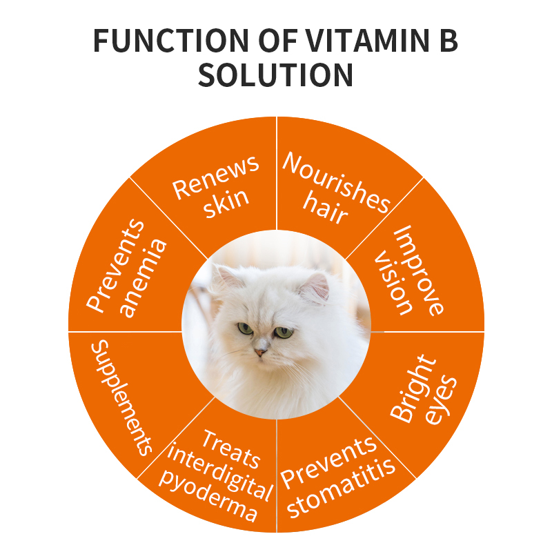 Puainta® Vitamin B Complex Solution
