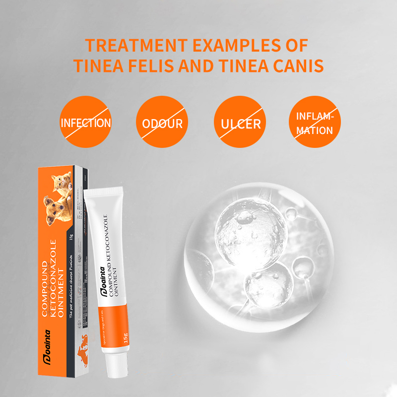 Puainta® Ointment for Ringworm or Fungal Infections in Dogs and Cats