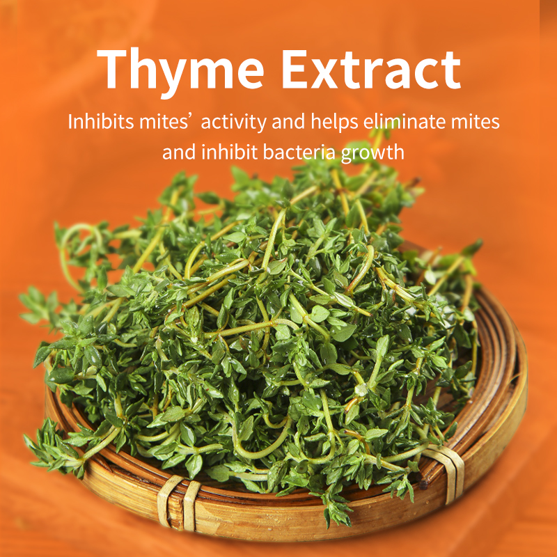 Puainta™ Anti-mite Spray - Spray to Eliminate Mites, for Household, Antibacterial and Bacteriostatic Purposes