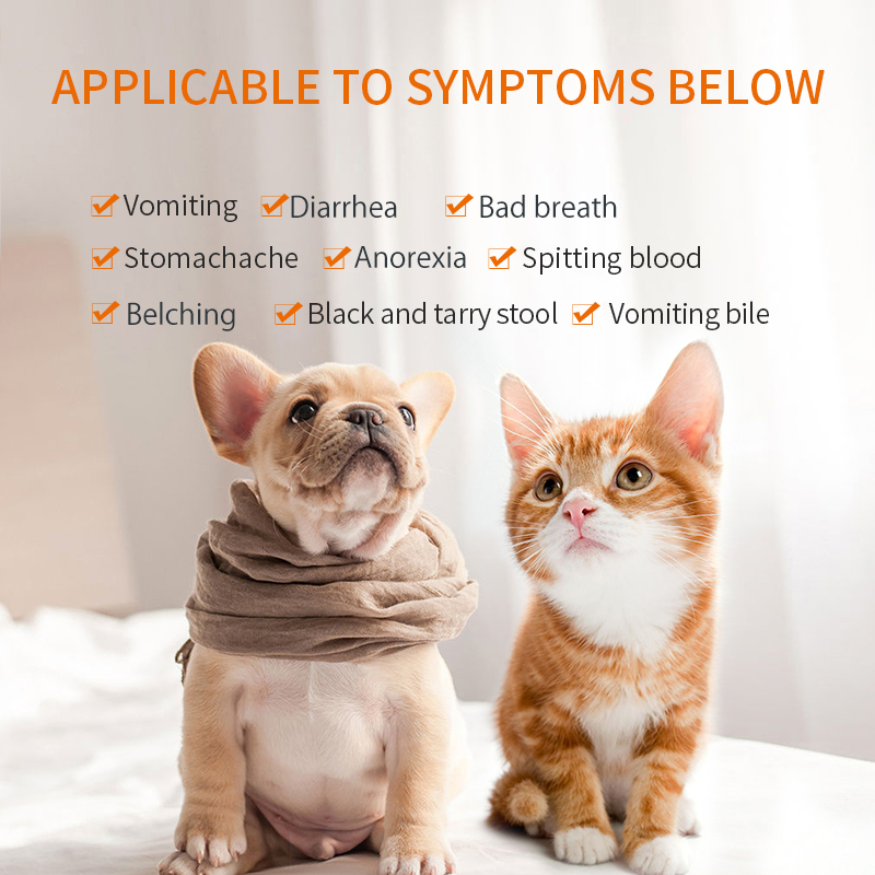 Puainta® Treatment For Gastroenteritis, Gastric Ulcer, Vomiting, Diarrhea