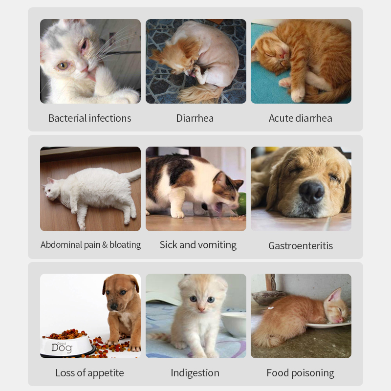 Acute Diarrhea ReliefTablets