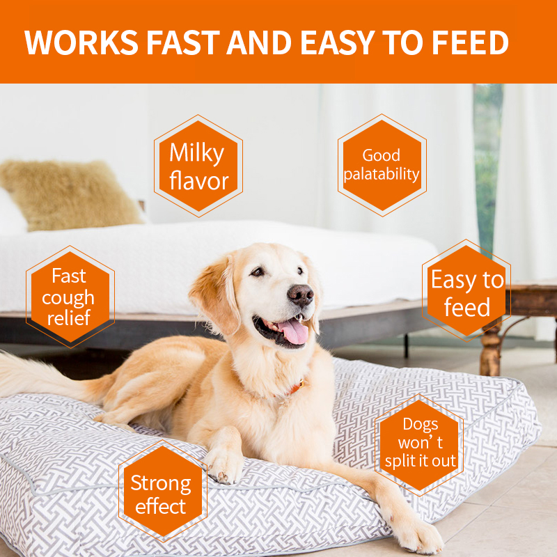 Puainta® Cough Relief and Anti-inflammatory