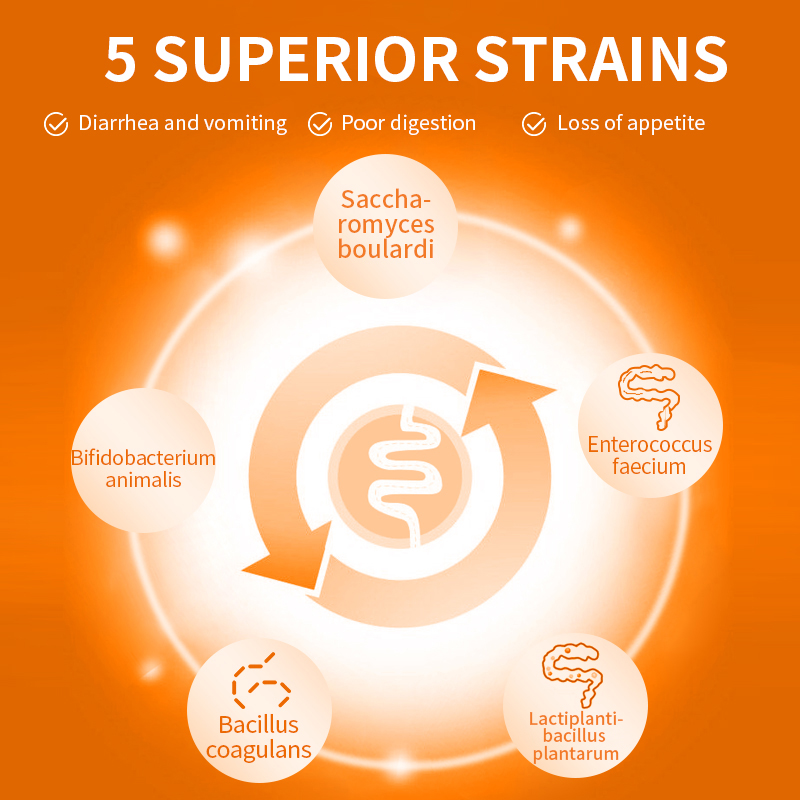 Puainta™ Probiotic Supplements-(Limited Time Offer)