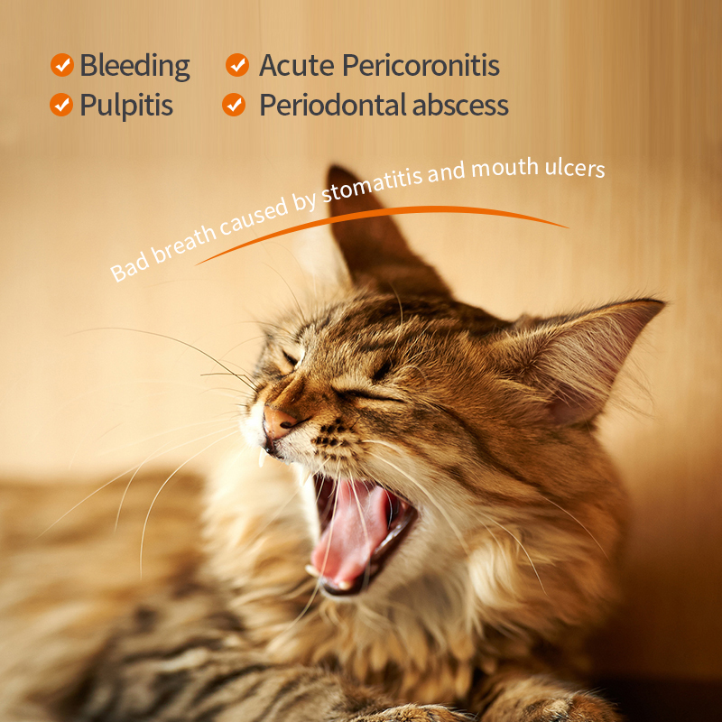 Puainta® Metronidazole Tablets to Treat Stomatitis, Mouth Ulcer, Gingivitis, Periodontitis, Halitosis