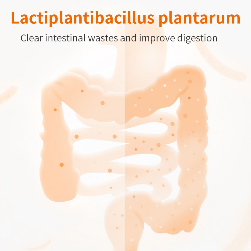 Puainta™ Probiotic Supplements-(Limited Time Offer)