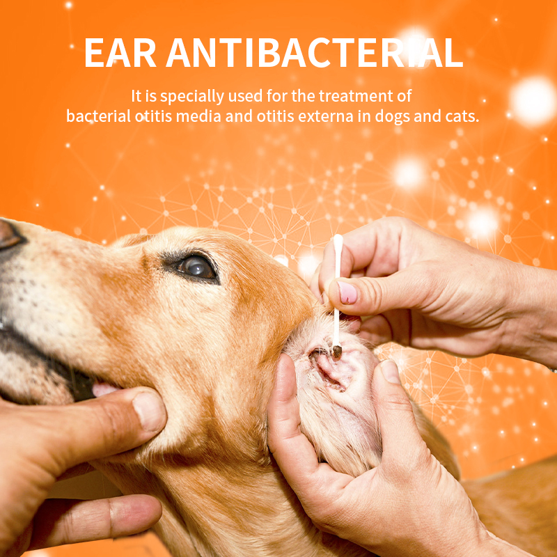 Puainta™ Ear Inflammation - Ear Drops