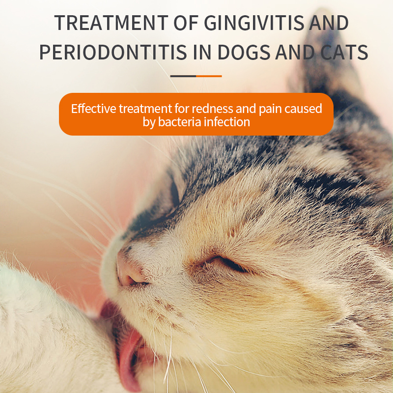 Puainta® Metronidazole Tablets to Treat Stomatitis, Mouth Ulcer, Gingivitis, Periodontitis, Halitosis