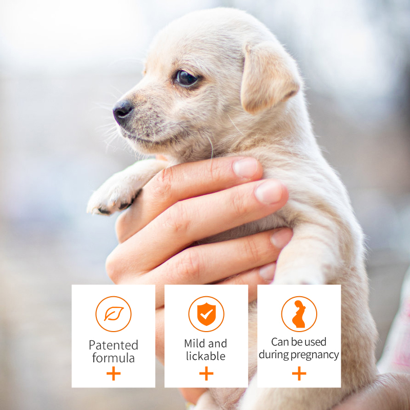 Puainta® Spray for Mouth Ulcer and Mouth Cleaning