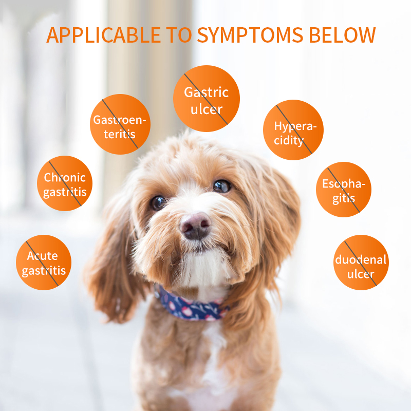 Puainta® Treatment For Gastroenteritis, Gastric Ulcer, Vomiting, Diarrhea