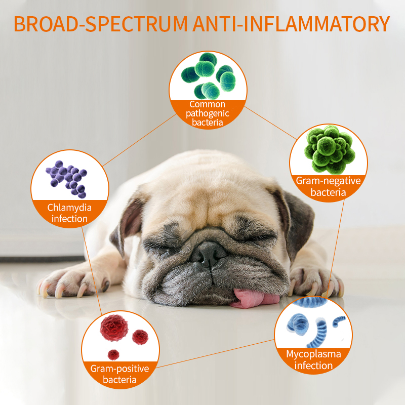 Puainta® Cough Relief and Anti-inflammatory