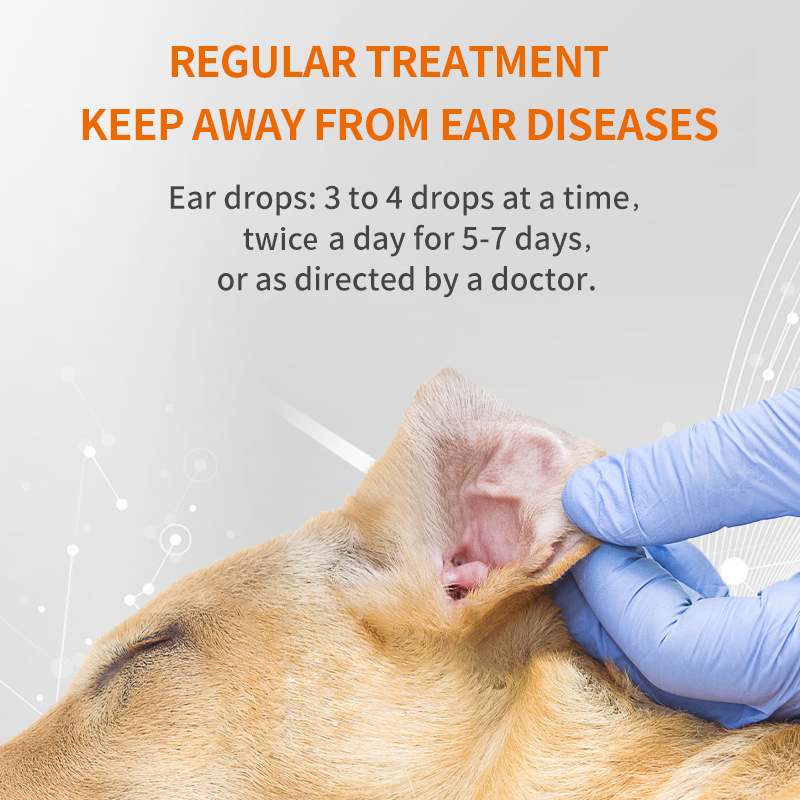 Puainta™ Ear Inflammation - Ear Drops