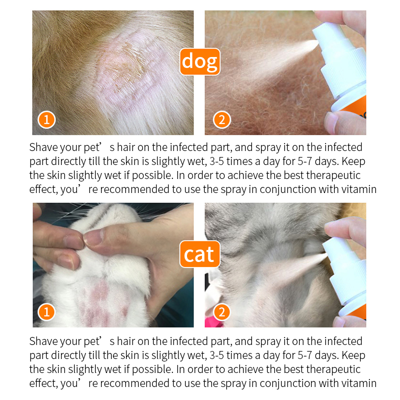  Puainta™ Multifunctional Skin Medical Spray【100ml】