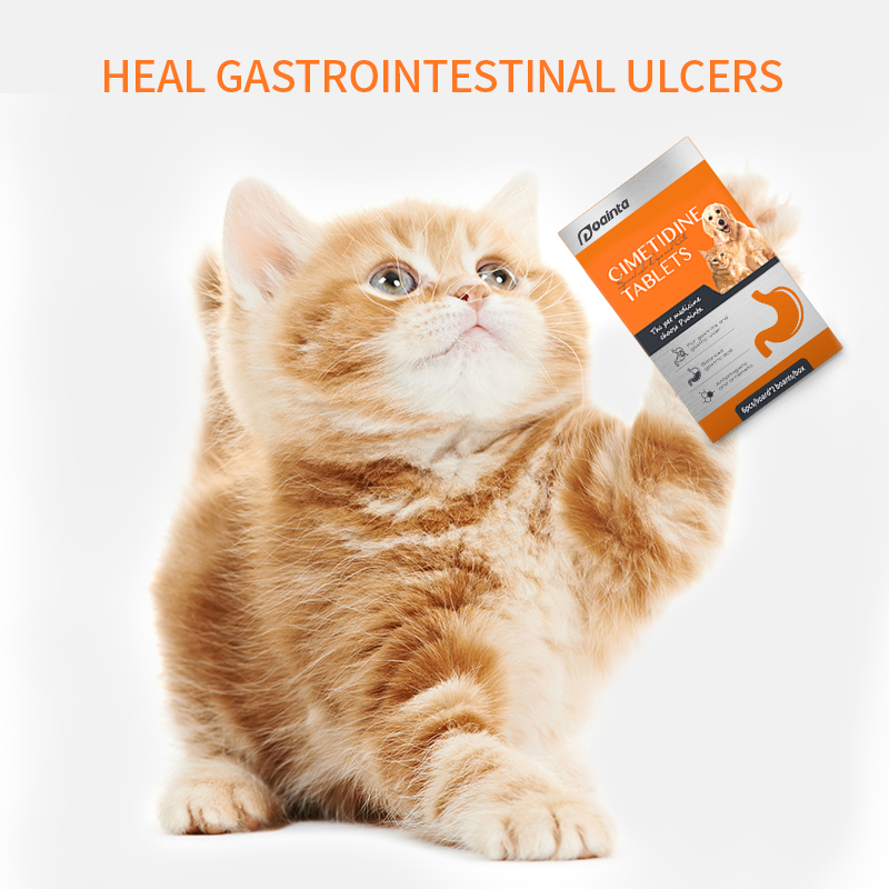 Gastroenteritis Treatment Vomiting ReliefTablets