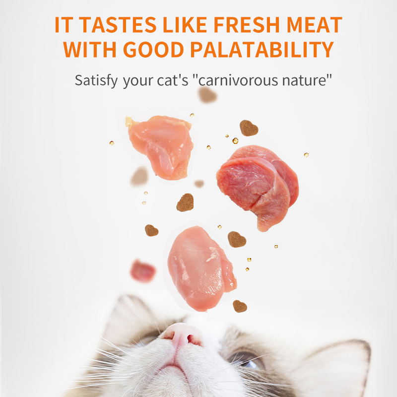 Puainta® Lecithin Supplements for Cats, 200g