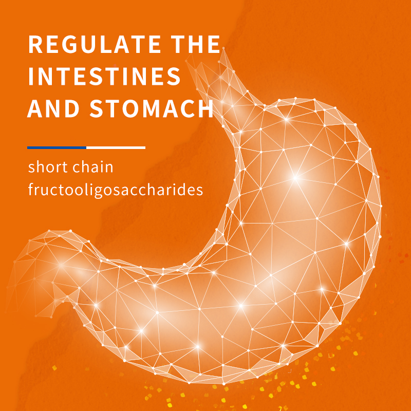  Lecithin Supplements for Dogs, 300g