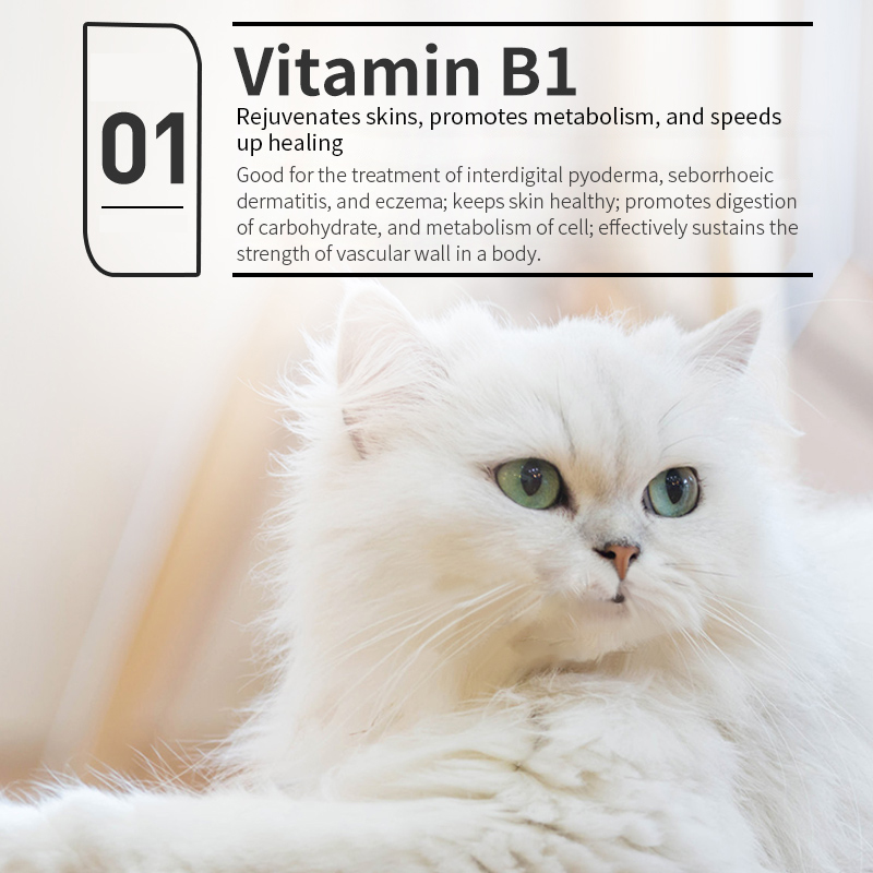 Puainta® Vitamin B Complex Solution
