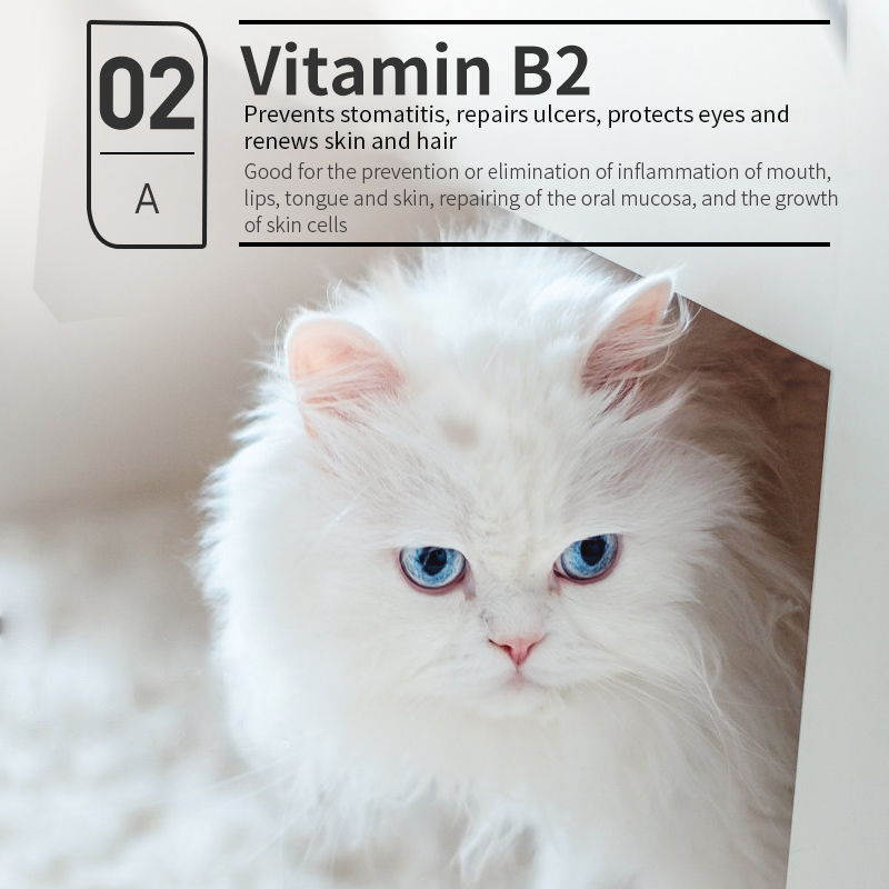 Puainta® Vitamin B Complex Solution