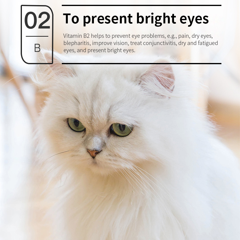 Puainta® Vitamin B Complex Solution