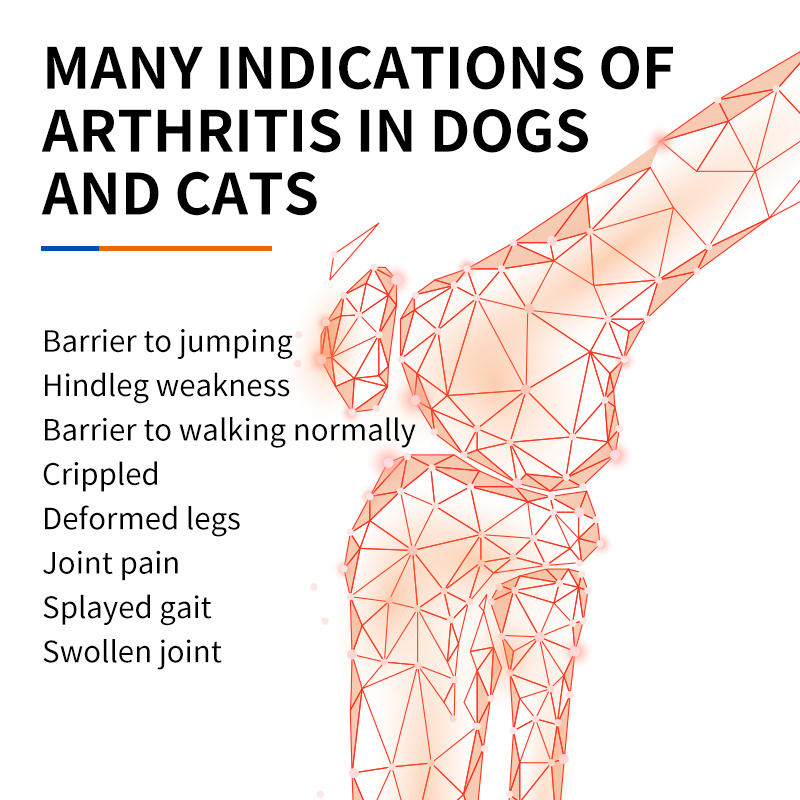 Puainta™ Chondroitin Joint Supplements