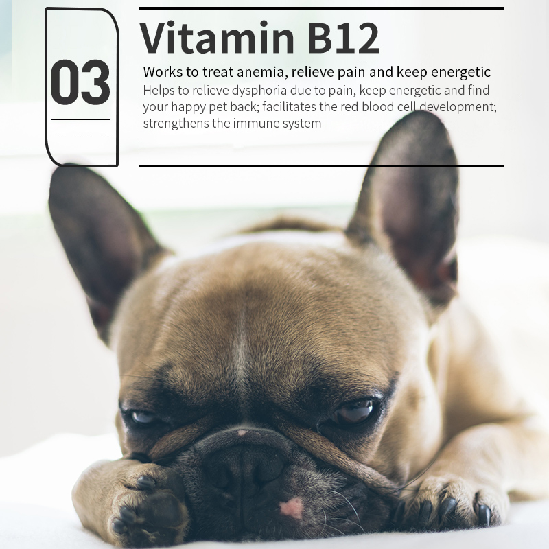 Puainta® Vitamin B Complex Solution