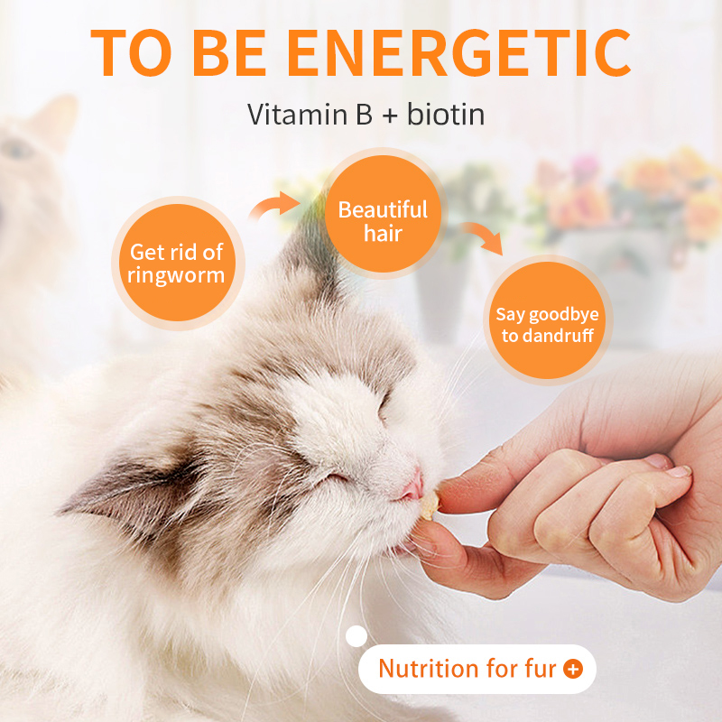 Puainta™ Multivitamin Chews Coat Health Support, 200 counts