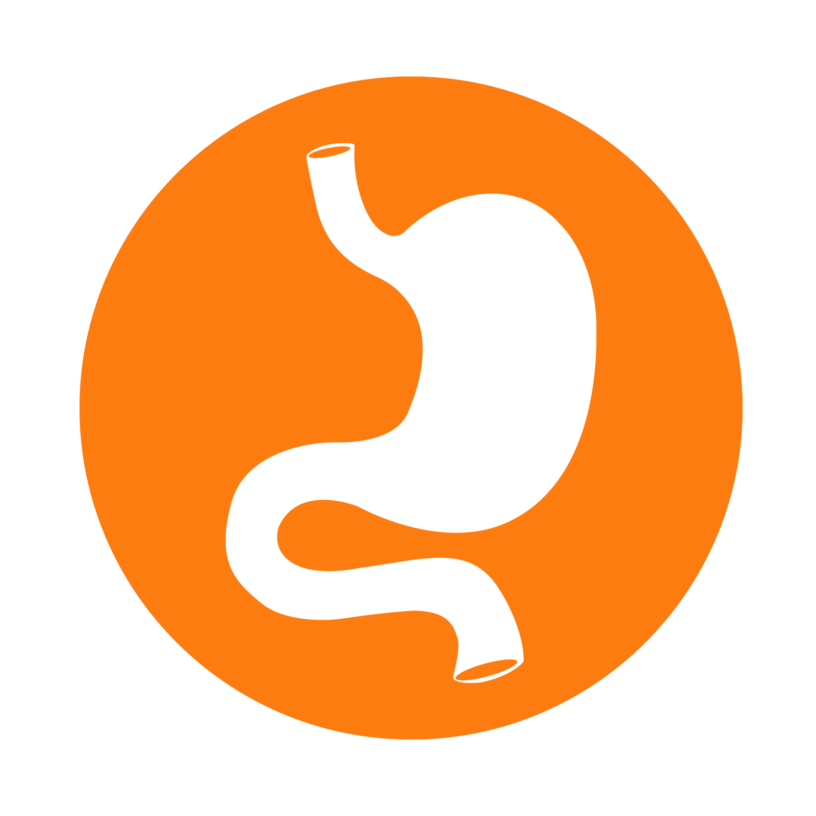 Digestion and Stomach Issues?