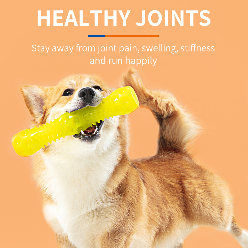 Puainta™ Chondroitin Joint Supplements