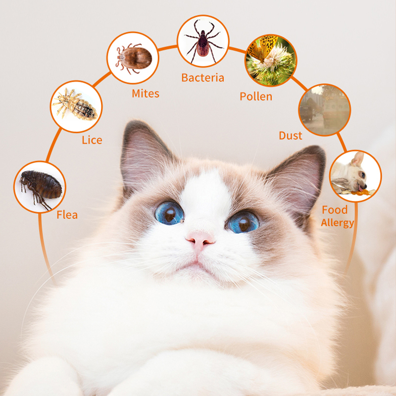 Puainta® Allergic Itch Relief, Allergy Treatment + Quick Itch Relief