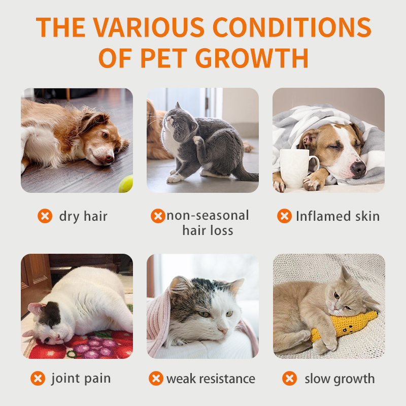 Puainta™ Fish Oil Soft Capsule, 90 count