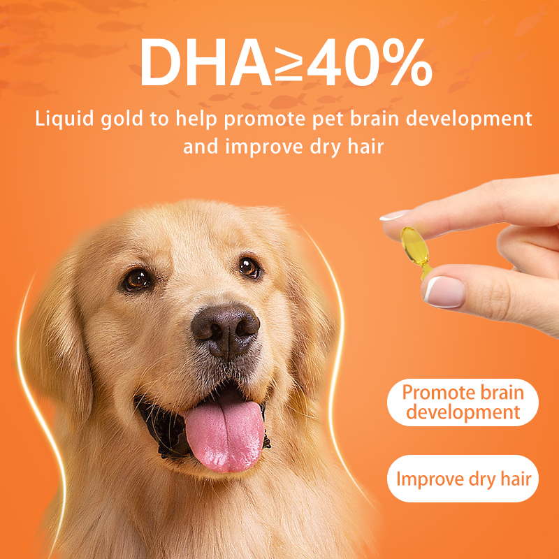 Puainta™ Fish Oil Soft Capsule, 90 count