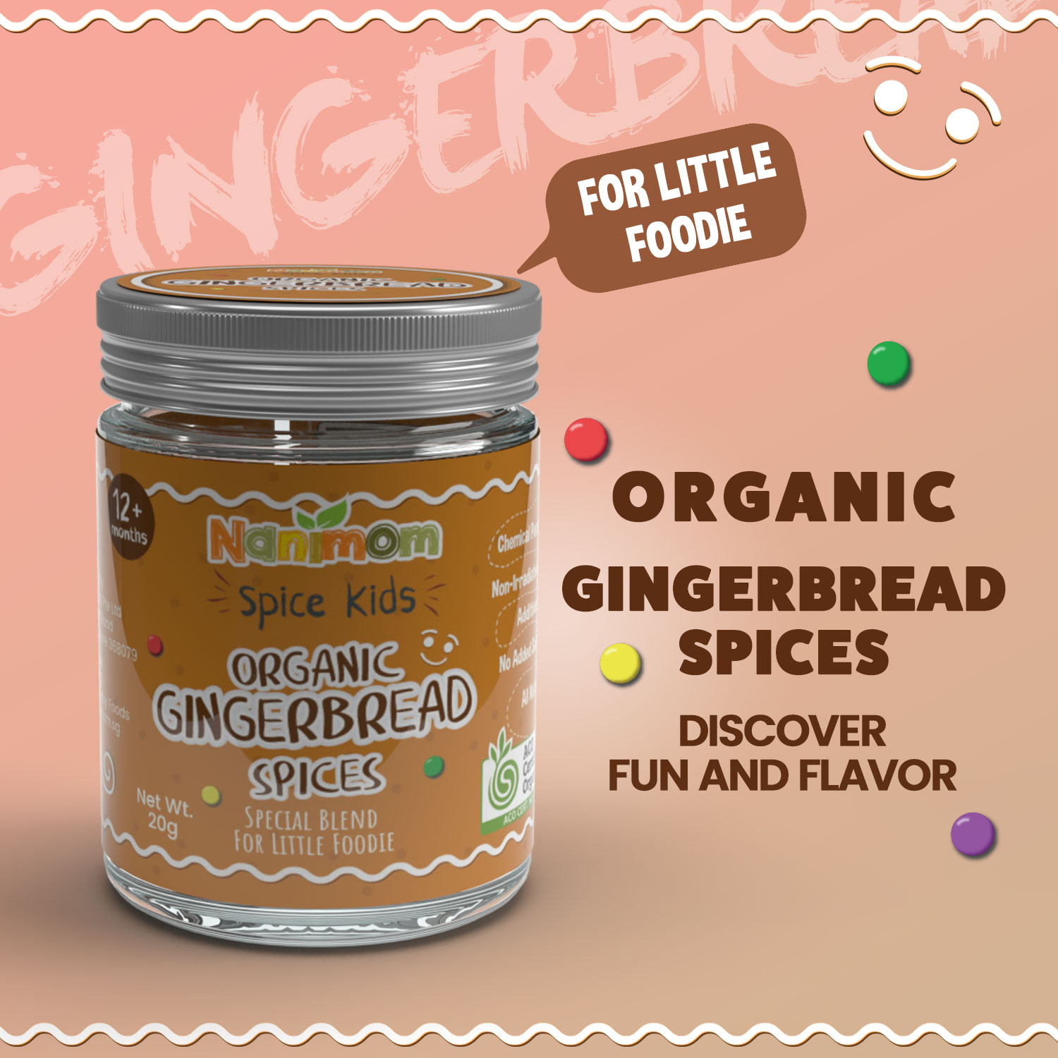Spice Kids Organic Gingerbread Spices