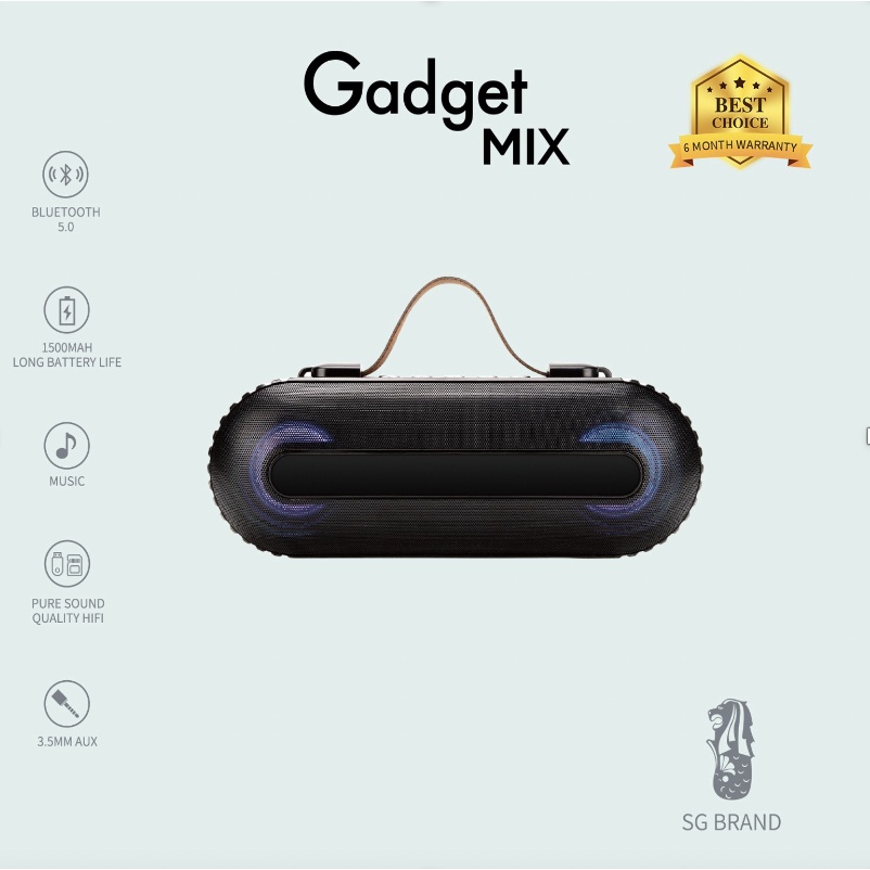 DIGINUT - DK-100 Bluetooth Karaoke Speaker With Microphone/ Family Entertainment/ Home KTV