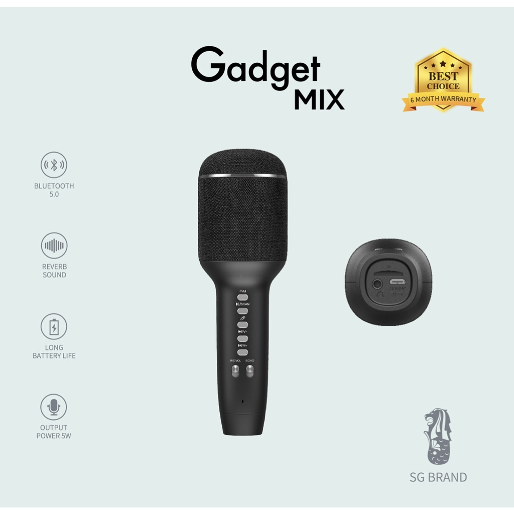 DIGINUT - DK-120 Bluetooth Microphone/ Bluetooth Version 5.0/ Playback Function/ TF Card Support