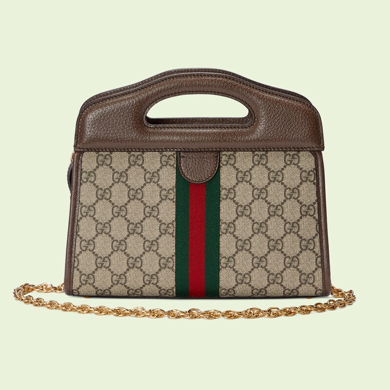 Ophidia系列织带小号托特包