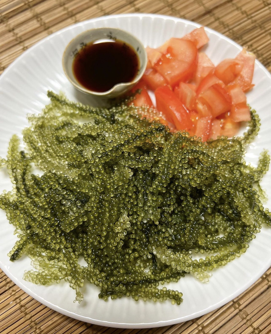 Fresh Chilled Okinawa Sea Grapes 2kg