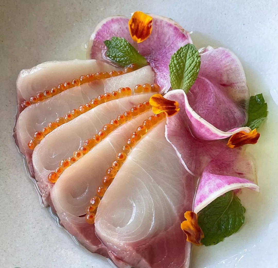 live-chilled-ikejime-yellowtail-hamachi-fish-4-5kg