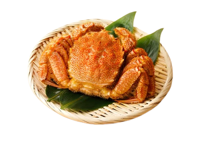 Hokkaido Sea Hairy Crab 500-600g/Pc X 5 Pcs