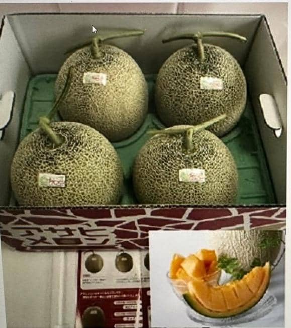 Hokkaido Musk Melon 4-6pcs 8kg Box