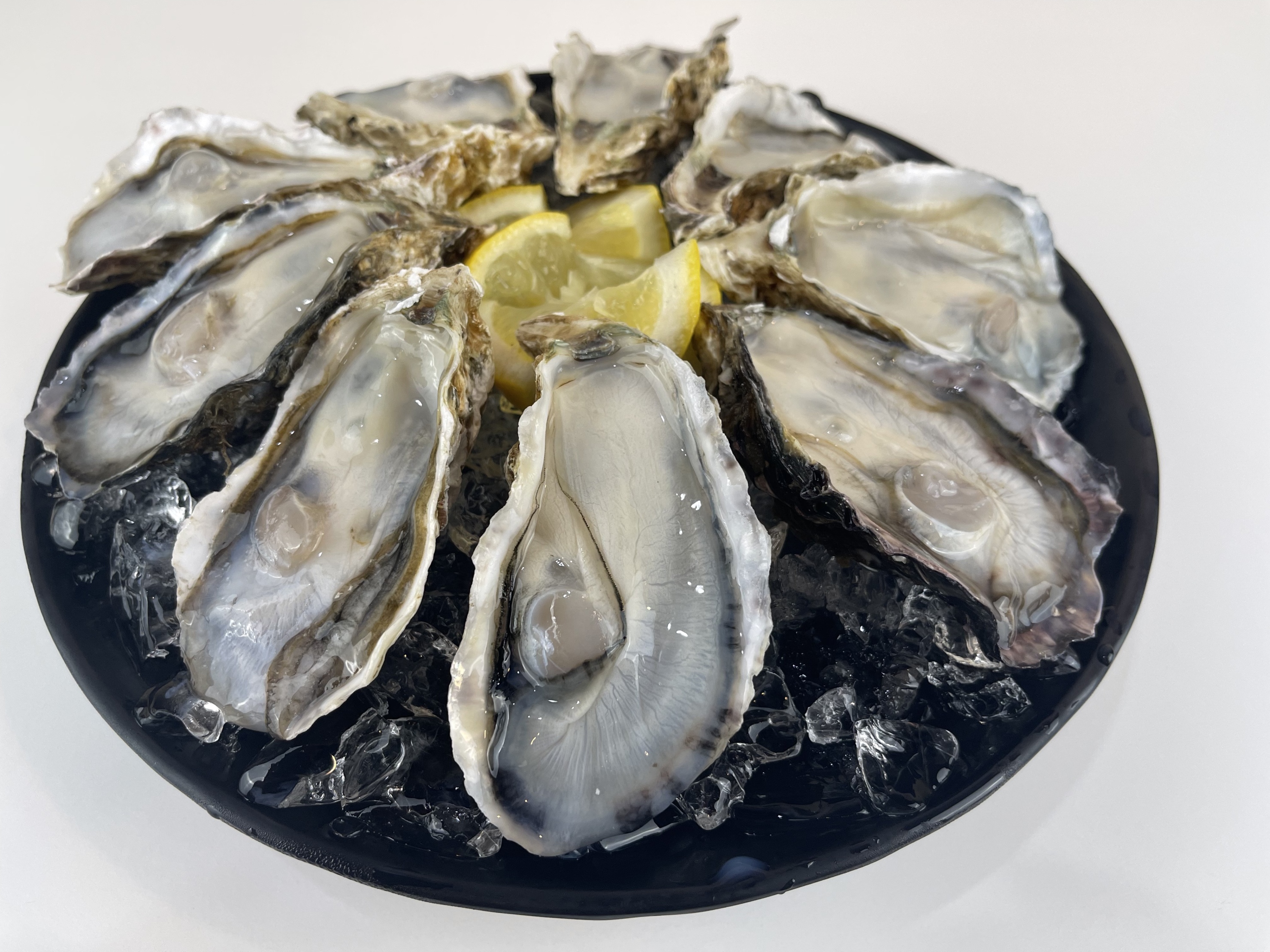 Frozen Murotsu Oysters (Sashimi Grade) 150pcs/Carton