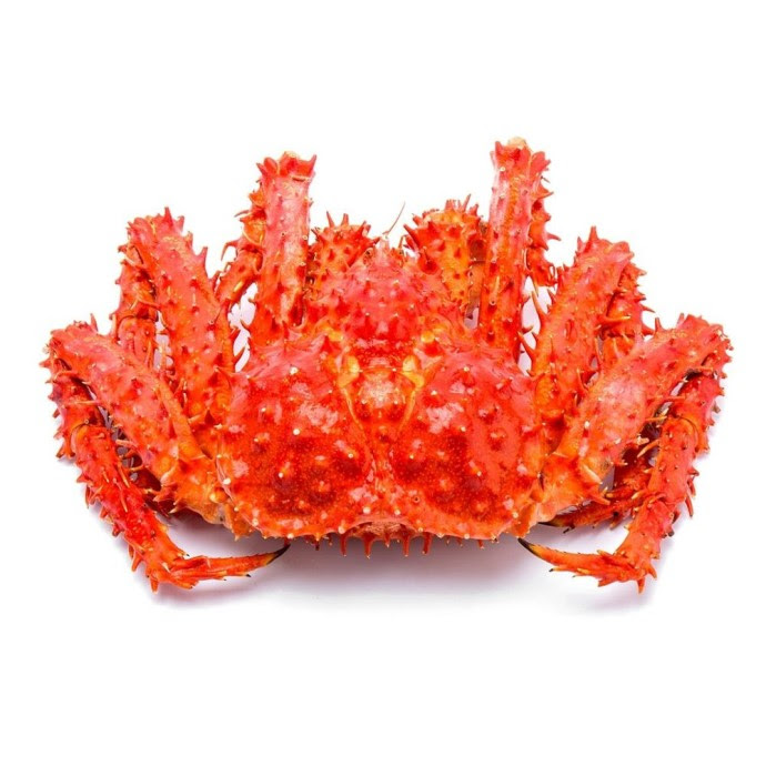 Biled Red King Crab whole XL